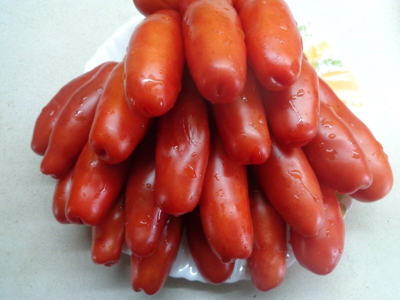 voor- en nadelen van casanova tomaten