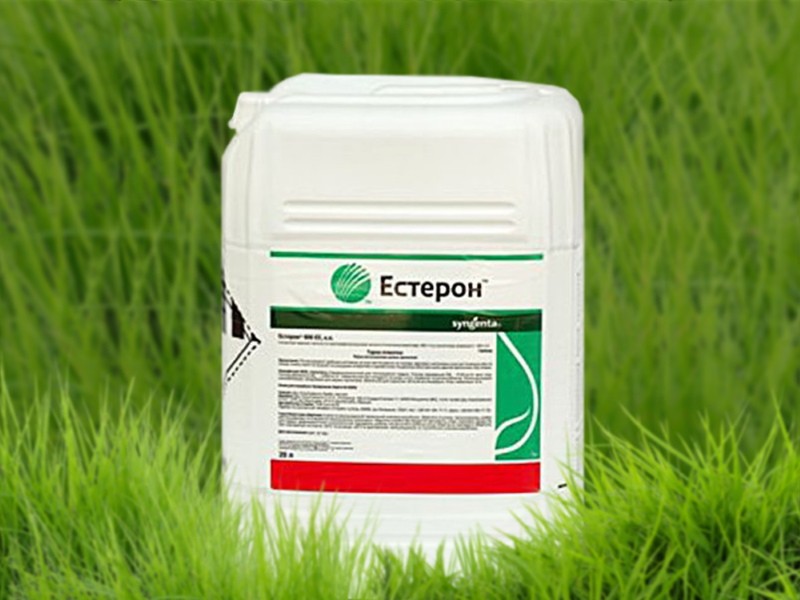 herbicide esteron