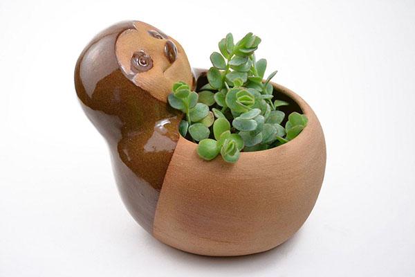 aarden pot voor succulent
