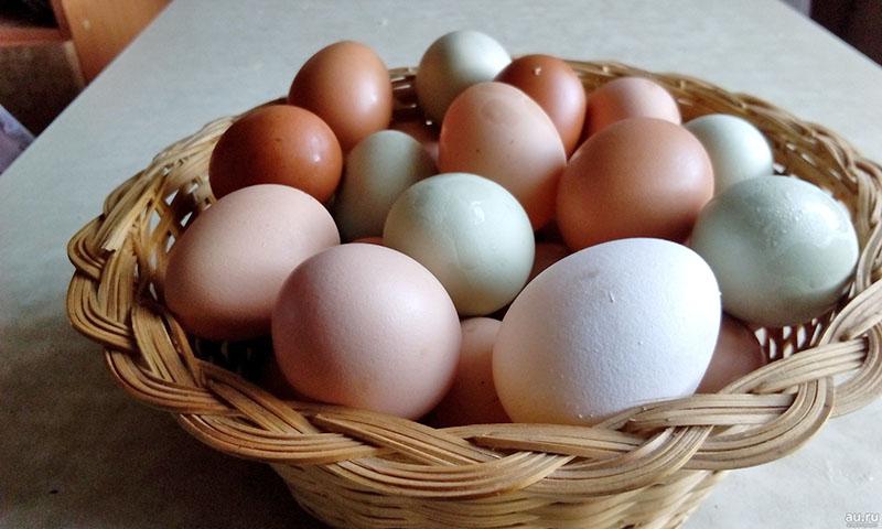 zelfgemaakte eieren