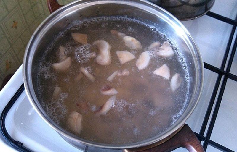 postupak pravljenja juhe od gljiva