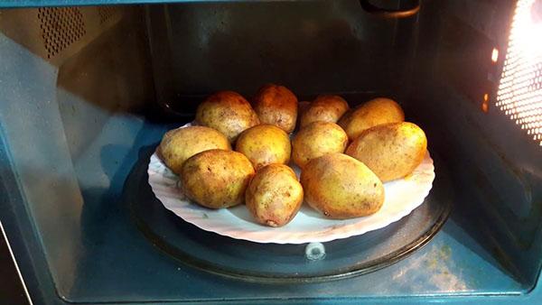 magnetron aardappelen