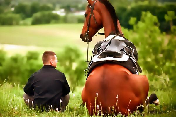 prijateljstvo između čovjeka i konja