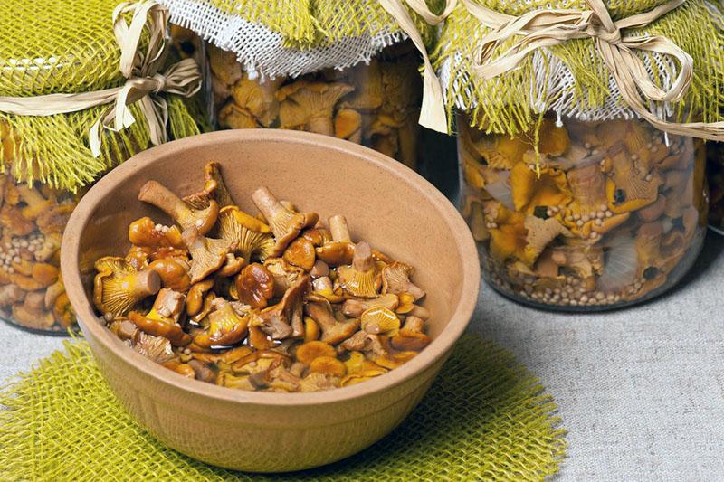 ukiseljene gljive recepti za kuhanje lisičarki