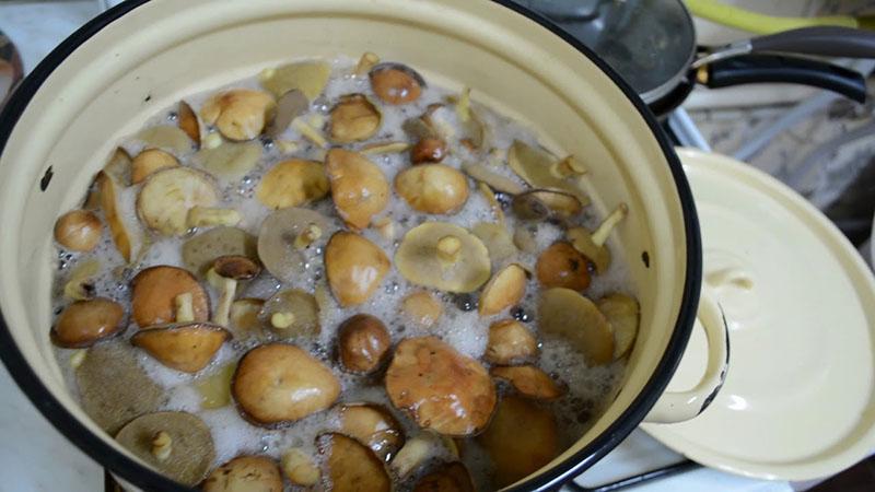 gljive skuhajte u marinadi