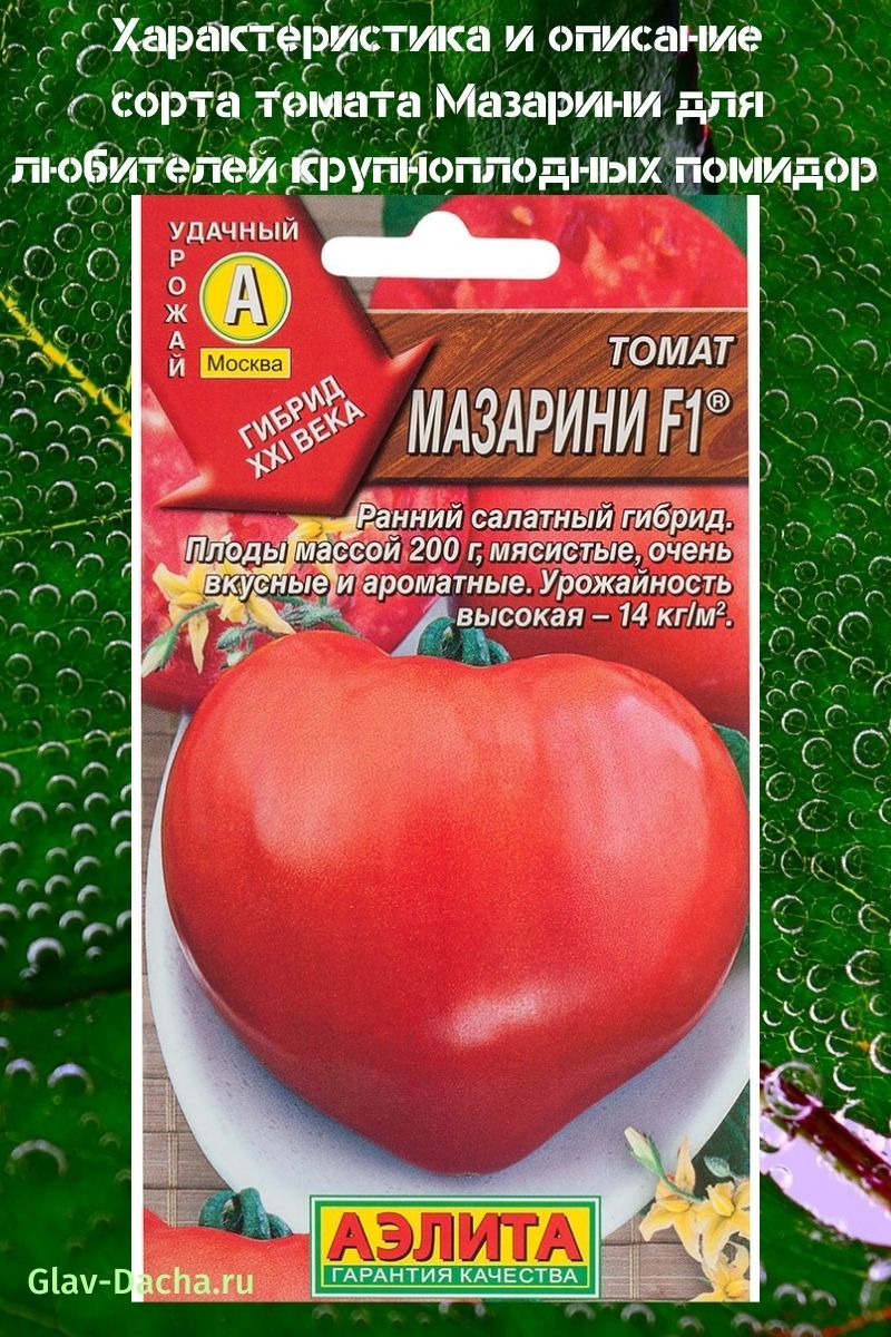 beschrijving van het tomatenras Mazarin