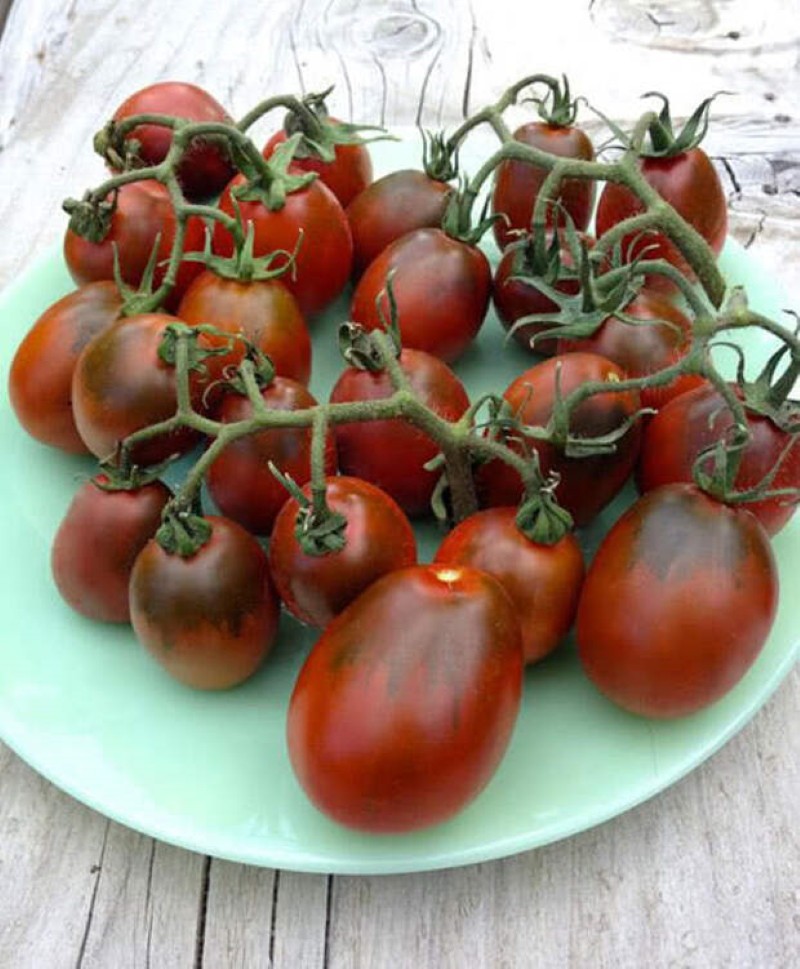 voordelen van zwarte heide tomaten