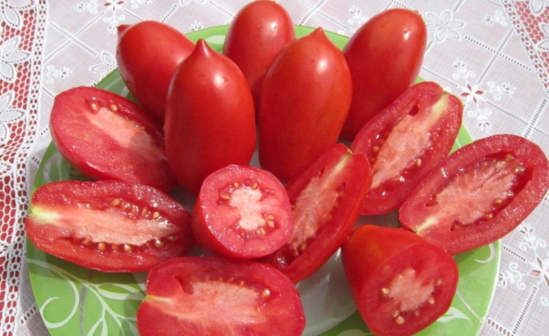 tomatenfruit het wonder van de luie