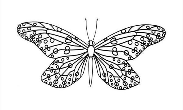 vlinder met grote spanwijdte