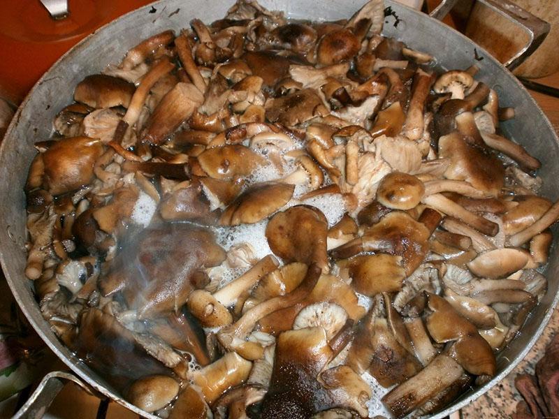 bak gekookte champignons