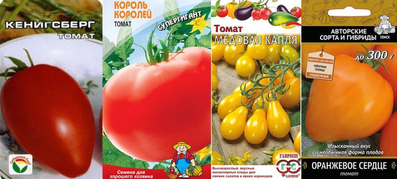 neodređene sorte rajčice