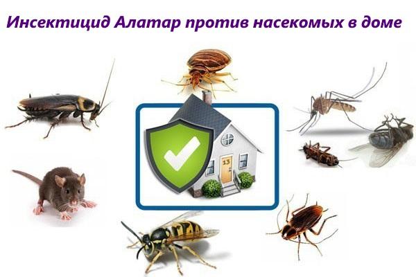 Alatar protiv insekata u kući