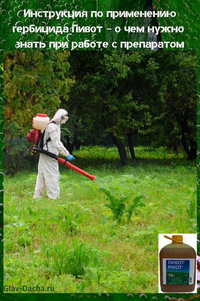 instructies voor het gebruik van herbicide Pivot