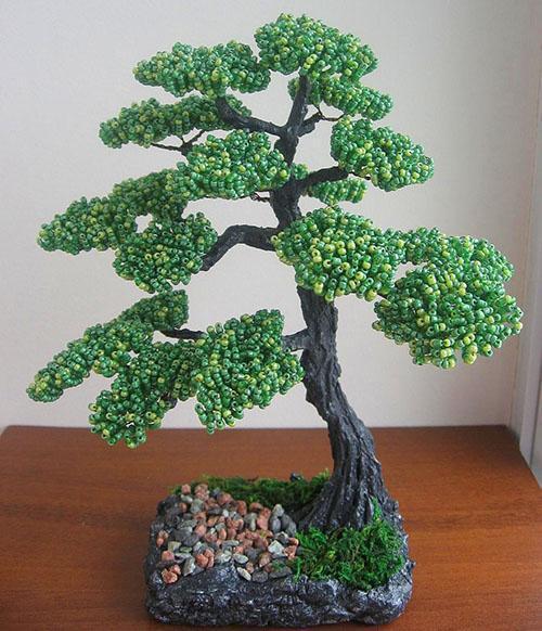 voltooid werk op bonsai