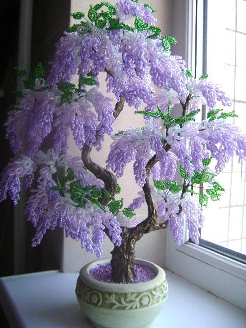 bonsai trešnjin cvijet
