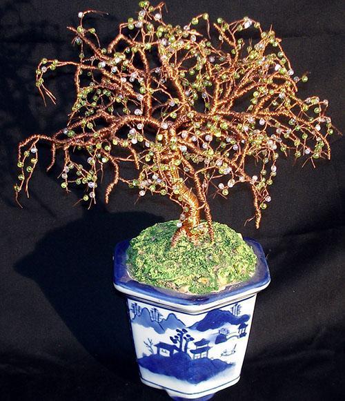decoratie en bevestiging van bonsai