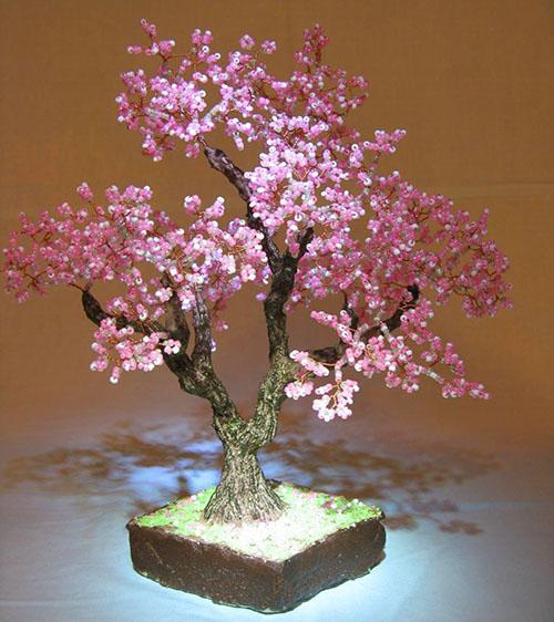 geweldige bonsai kraal
