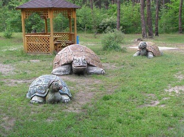 Betonnen schildpadden