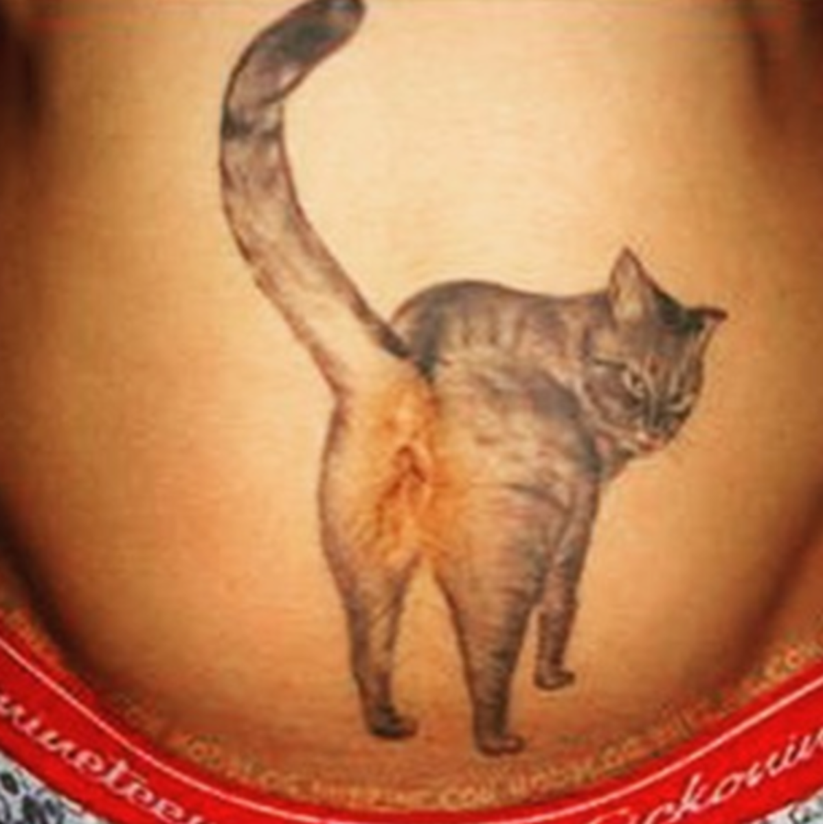 katt-rumpe-tatovering