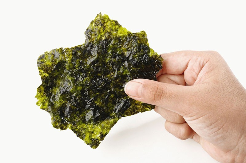 jedinstveni kemijski sastav alge