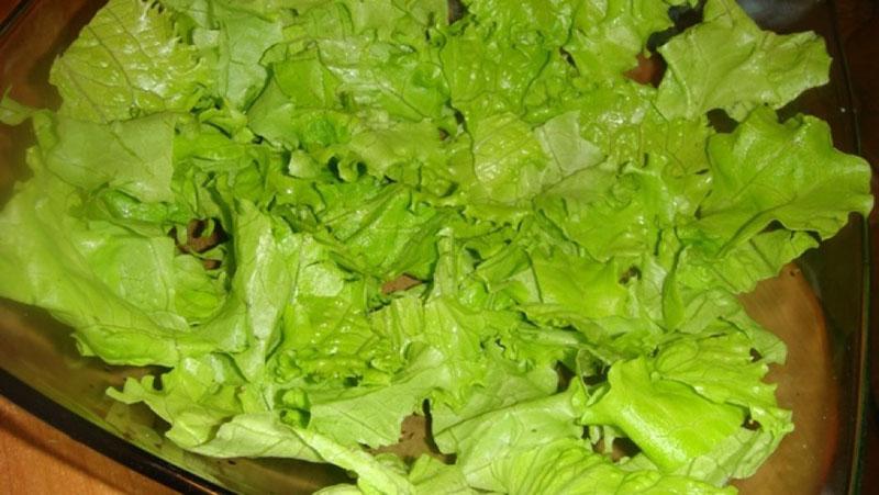 rastrgati listove salate