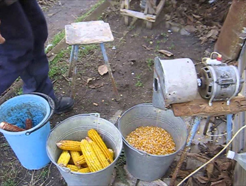 proces ljuštenja kukuruza