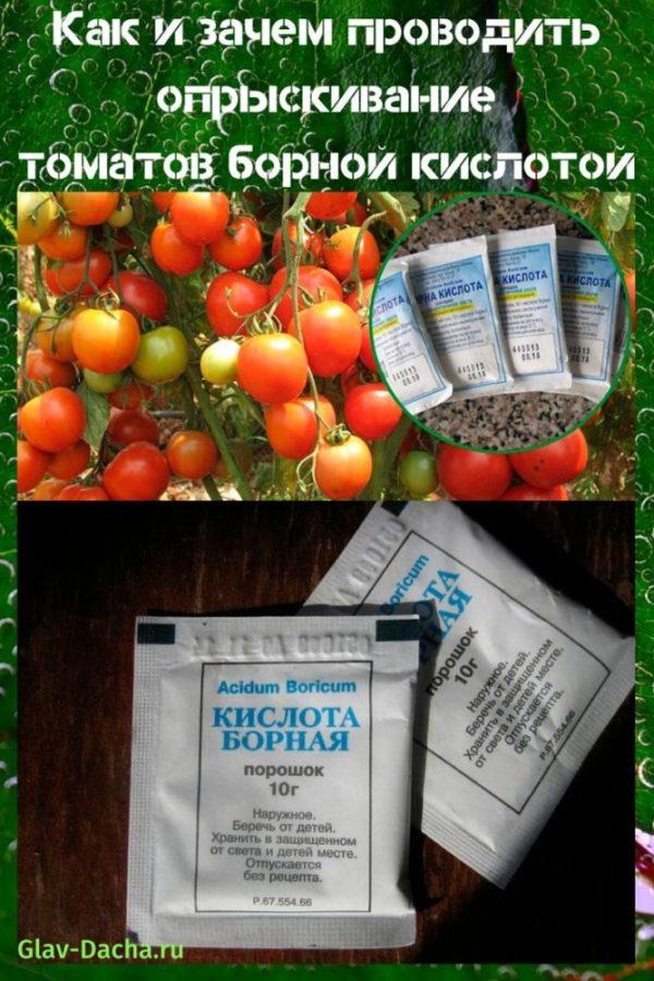 tomaten besproeien met boorzuur