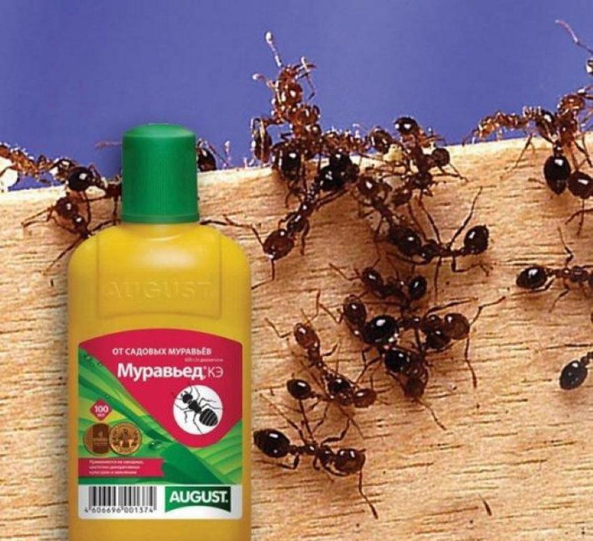 lijek protiv mravojeda