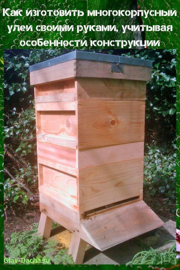Doe-het-zelf bijenkorf met meerdere bijen
