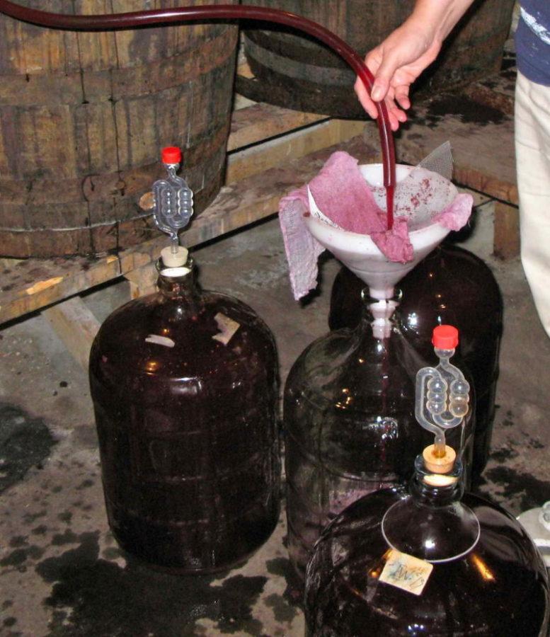 fermentatie van wijn