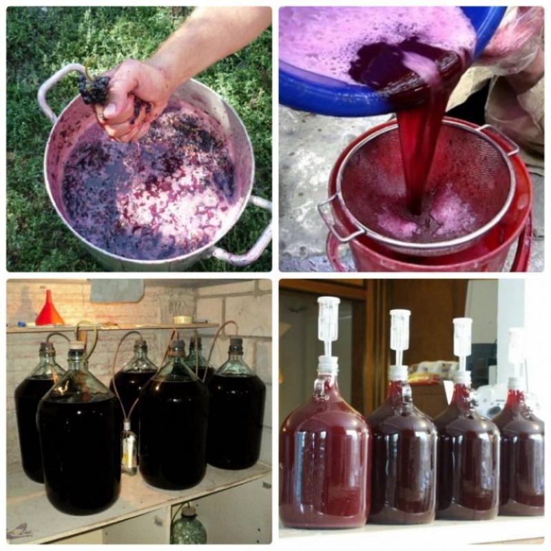 hoe druivenwijn te maken