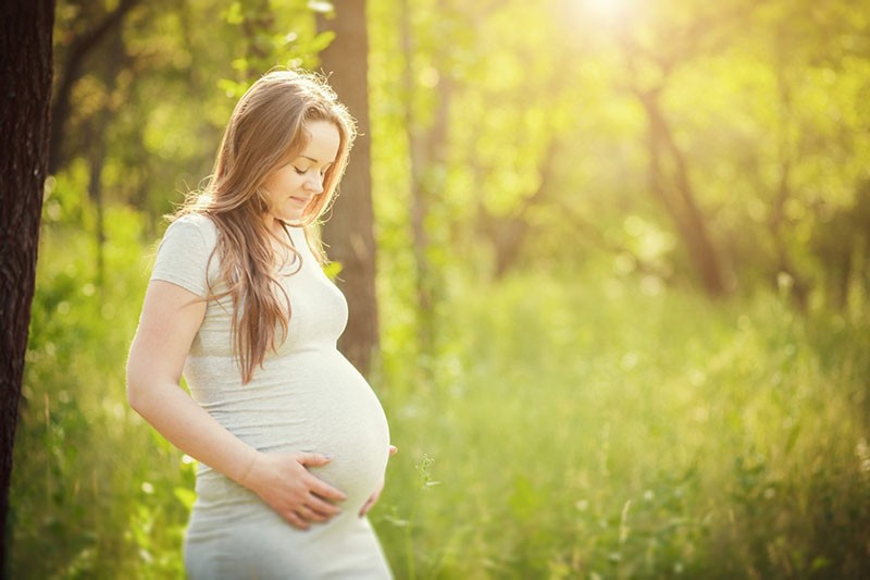 Arnica is gecontra-indiceerd voor zwangere vrouwen