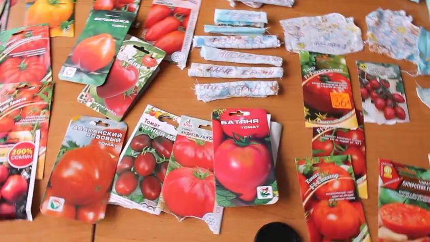 sjemenke rajčice