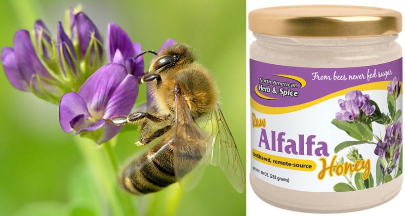 alfalfa honing