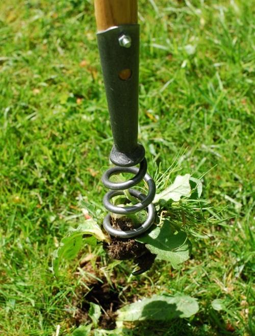 vadičep za uklanjanje korijena