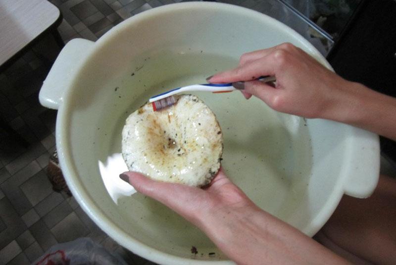 bereiding van champignons om te zouten