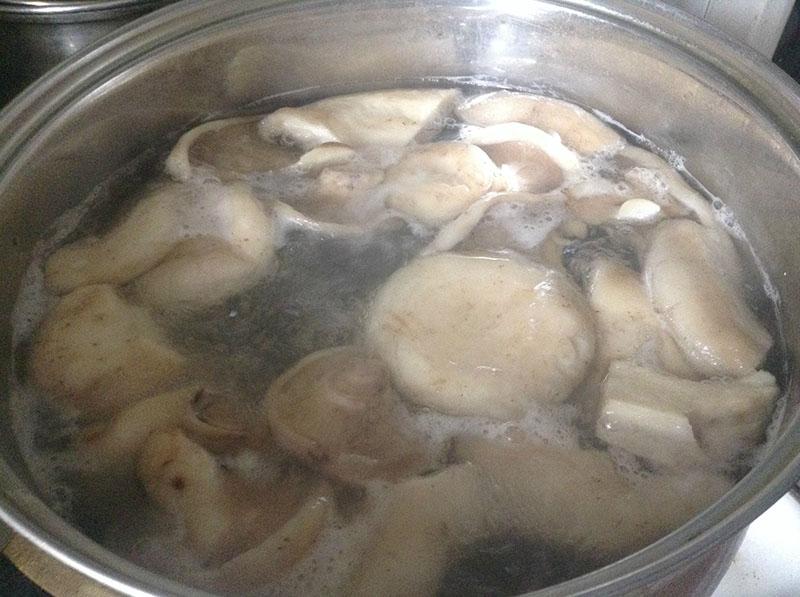kook melk champignons