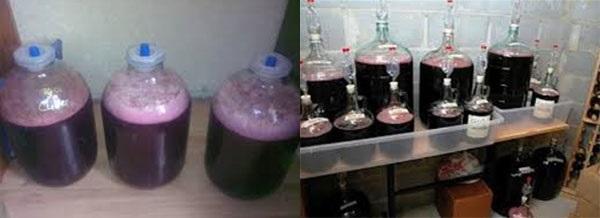 proces fermentacije vina od višanja