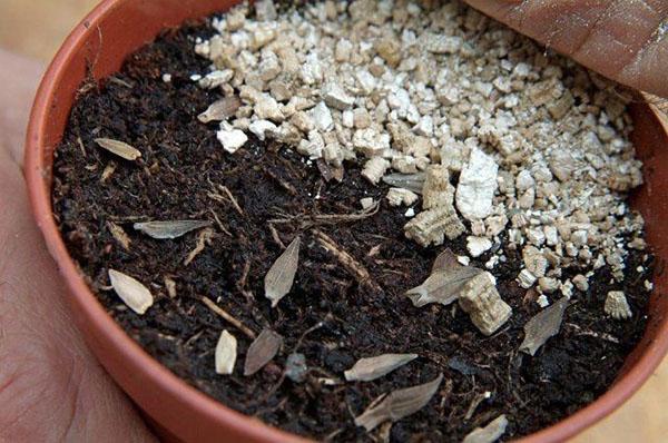 vermiculiet voor kamerplanten
