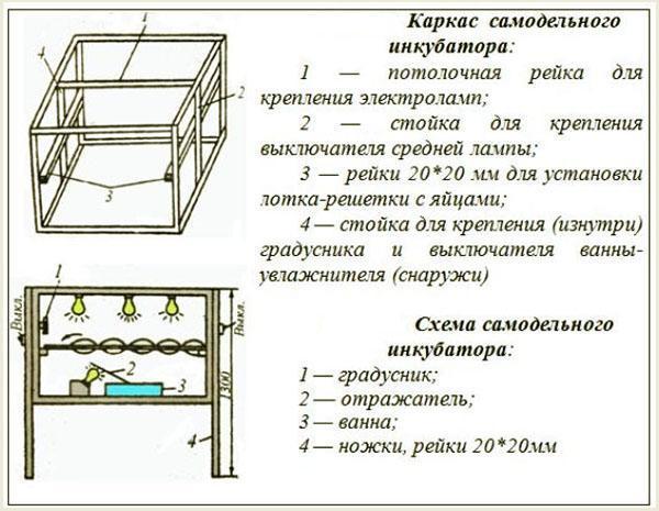 Crtež domaćeg inkubatora