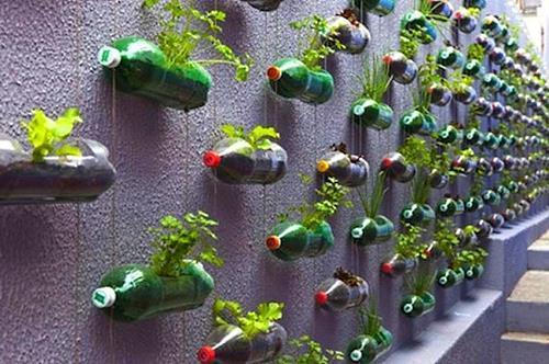 Vertikalni cvjetnjak izrađen od plastičnih boca