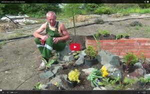 Video kako napraviti kamenjar u zemlji