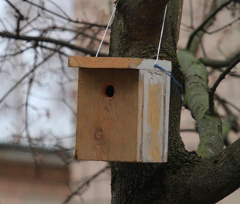 način pričvršćivanja kućice za ptice