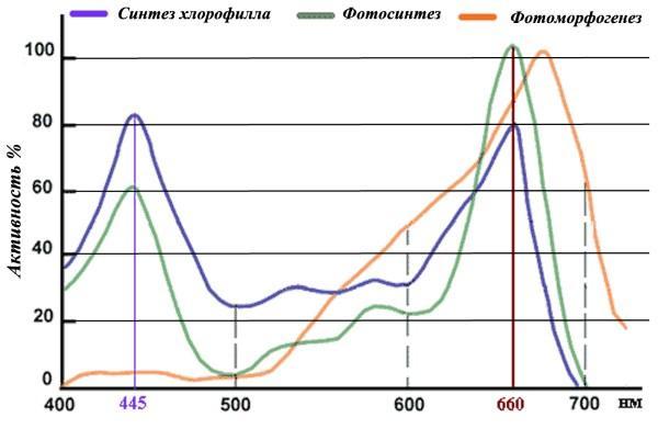 Graf učinkovitosti spektra sadnica