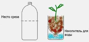 okomiti cvjetnjak izrađen od plastičnih boca