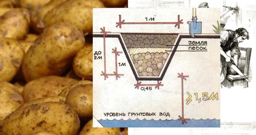 kako napraviti hrpu krumpira bez koštica
