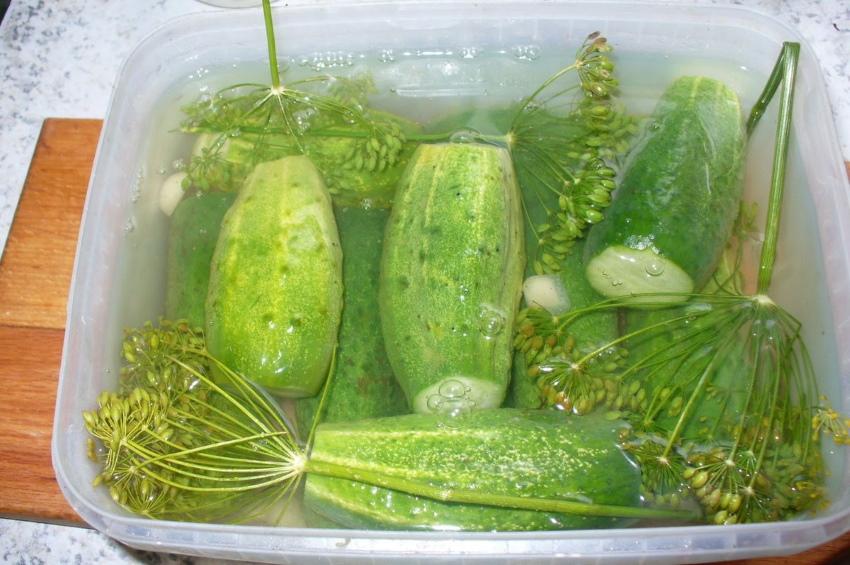 licht gezouten komkommers