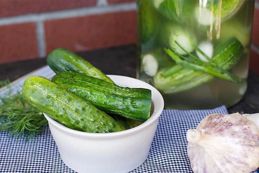 hoe gezouten komkommers te bewaren?