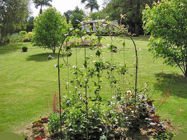 frame voor verticaal tuinieren