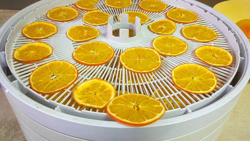 we drogen sinaasappels in een elektrische droger
